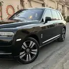 روز كولينان سلفر باج 2019