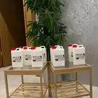 حليب نياق خلفات إبل طازج يوميا