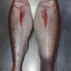 بيع سمك طازج