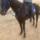 مفرق رماح
