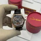 ساعات كارتير درجة اولى
