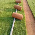 نجيله طبيعي مشروطه مضمونه