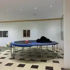 نطنيطة اصلية نوع امريكي