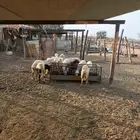 فران تربة المزرعه
