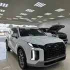هيونداي باليسيد خليجي2024 في الامارات