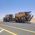 لوبد موجد في قريه العليا