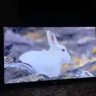 شاشة تلفزيون سوني