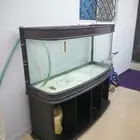 حوض سمك