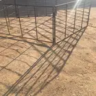 شبك غنم