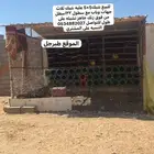 شبك
