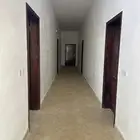 ضباء حي الفريع