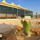 مخيم فاخر للايجار فترة الشتاء