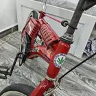 سيكل مجنط اندنوسي