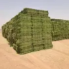 برسم مخلوط وصافي