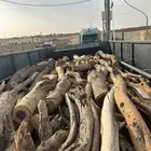 ديناء للبيع