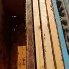 وحل بلدي للبيع للتواصل