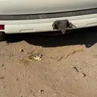 برادو 2016 مالك اول