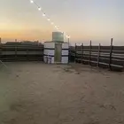 مخيم الايجار اليومي مخيم الراقي في عين شمس مكه المكرمه