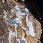 خياش غظا وسمر و ار طا ء