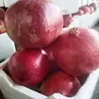 رمان الشيحية