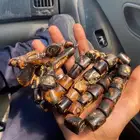 يسر حجازي قديم