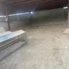 ارض كبيره مع بيت للبيع مع حضائر مغطاه