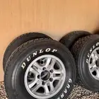 جنوط الحميد شفه عريض