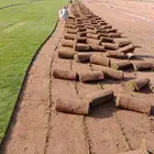 نجيله طبيعي مشروطه