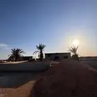مزرعة