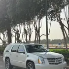 اسكاليد 2013 قصير ابيض لولوي