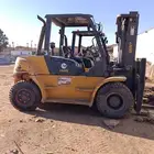 رافعات شوكيه