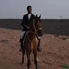 مهر شعبي