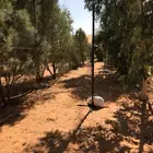 شبكة حماية المحاصيل لصيد العصافير
