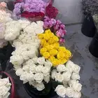 ورد بالجملة