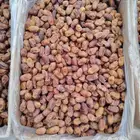 تمر سكري وخلاص