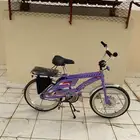 رامبو اندنوسي