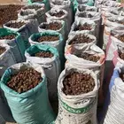 تمر علف العدد 60 كيس تقريبا