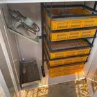 فقاسة   نتافة شبهه جديد