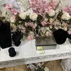 ستاند هدايا او خطوبة مع الورد