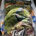 تربة زراعيه