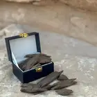 عرض العود
