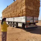 اعلاف
