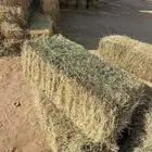 برسيم مخلوط للبيع بتريله