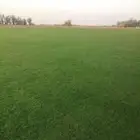 ثيل سي الفين درجه اولى