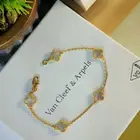 اساور فان كليف ماستر