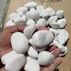 حجر زينة الحدائق و الممرات