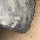 دباب