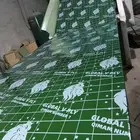 بليوت الاسد العالمي اسعار جملة