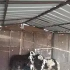 للبيع
