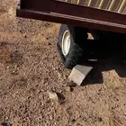 القصيم عنيزه